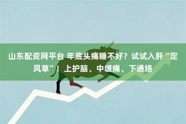 山东配资网平台 年底头痛睡不好？试试入肝“定风草”！上护脑、中缓痛、下通络